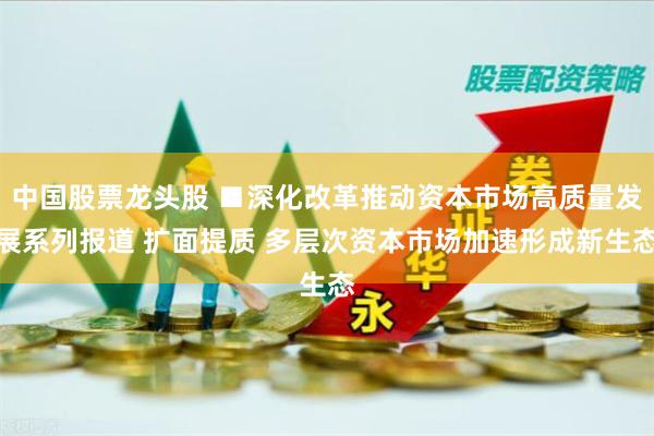 中国股票龙头股 ■深化改革推动资本市场高质量发展系列报道 扩面提质 多层次资本市场加速形成新生态