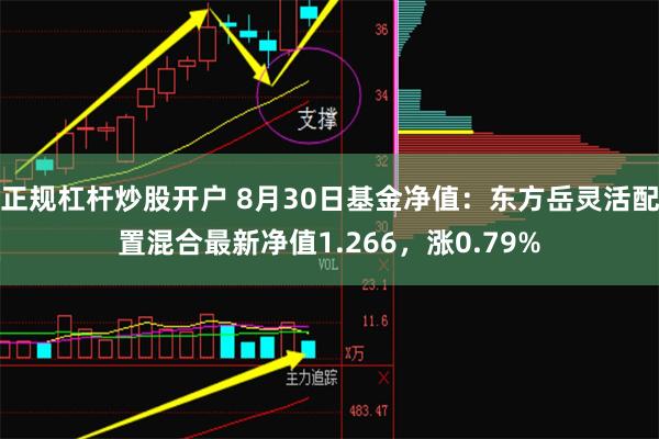 正规杠杆炒股开户 8月30日基金净值：东方岳灵活配置混合最新净值1.266，涨0.79%